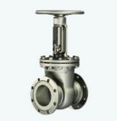 Wedge shaped valves