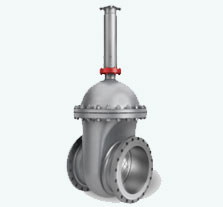 Non-rising stem wedge shaped valves 